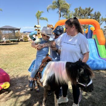 Picture Perfect Ponys - Kids b'day party with Panda the pony - Petting Zoos Near Me - Fallbrook, California