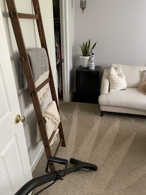 Steam cleaning, odor treatment, stain protection - We offer safe and eco friendly carpet cleaning. We use the best products and equipment to give you the deepest, healthiest, softest carpet results.