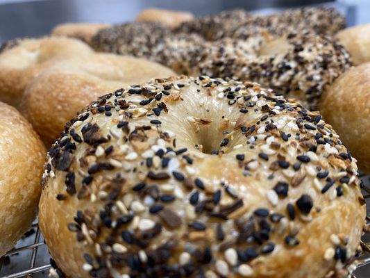 Tali’s Bagels and Schmears by null