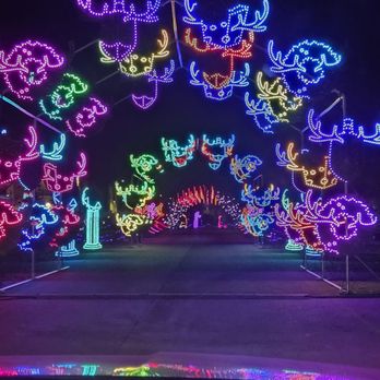 World Of Illumination - Festivals Near Me - Henderson, Nevada