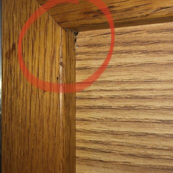 Travelodge by Wyndham Escanaba - Cluster of bedbugs hiding in the corner of the bed frame in Room 224. - Hotels Near Me - Escanaba, Michigan Travelodge by Wyndham Escanaba - Cluster of bedbugs hiding in the corner of the bed frame in Room 224. - Hotels Near Me - Escanaba, Michigan