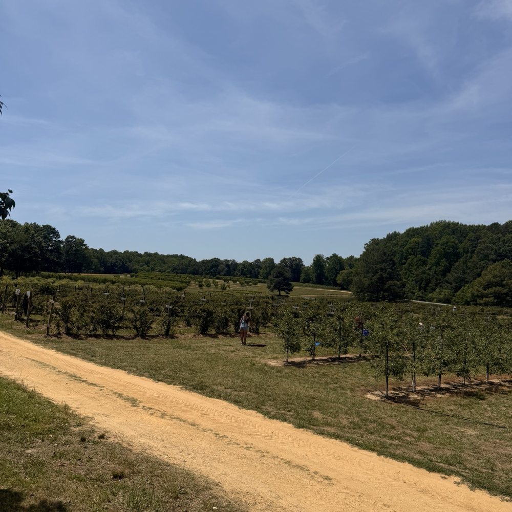 Millstone Creek Orchards - Apple Orchards - Fruits & Veggies Near Me - Ramseur, North Carolina Millstone Creek Orchards - Apple Orchards - Fruits & Veggies Near Me - Ramseur, North Carolina