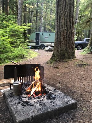 Ohanapecosh Campground by null