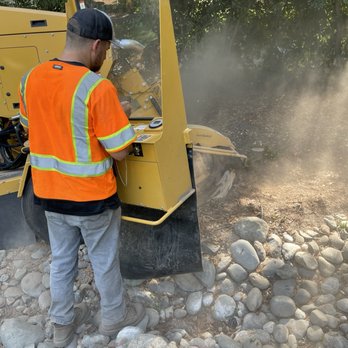 Fresh Air Tree Experts - Tree Services Near Me