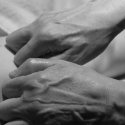 Longitude Zen