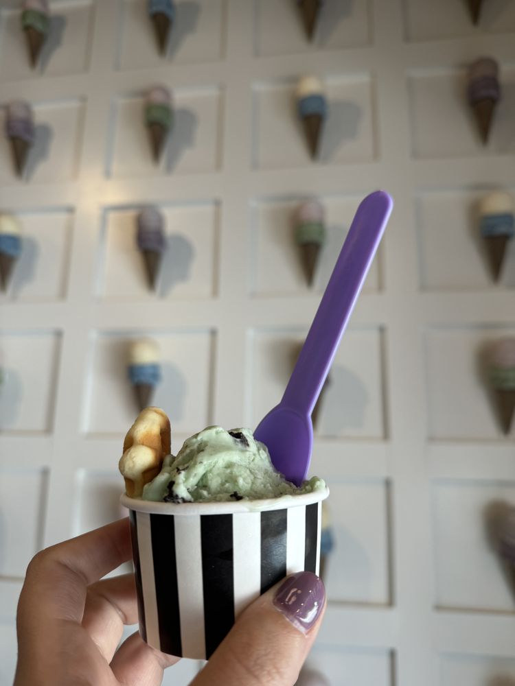 CHOCOLATE SHOPPE ICE CREAM Updated August 2024 19 Photos & 14