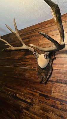 Sierra Sky Ranch, a boutique hotel by null