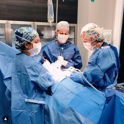 Dana M Goldberg MD