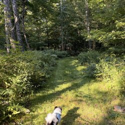 Newfound R V Park - Nature Trail