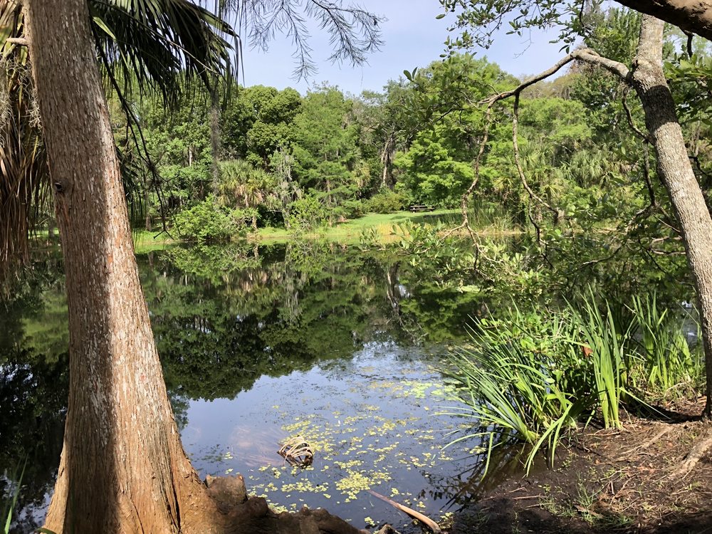 MEAD BOTANICAL GARDEN 423 Photos & 74 Reviews Botanical Gardens