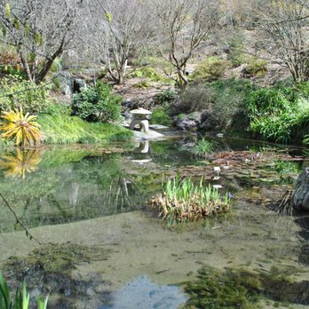 UC Botanical Garden at Berkeley - Botanical Gardens Near Me - Berkeley, California UC Botanical Garden at Berkeley - Botanical Gardens Near Me - Berkeley, California