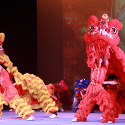 Dragon Rhythm Shaolin Kung Fu - Lion Dance