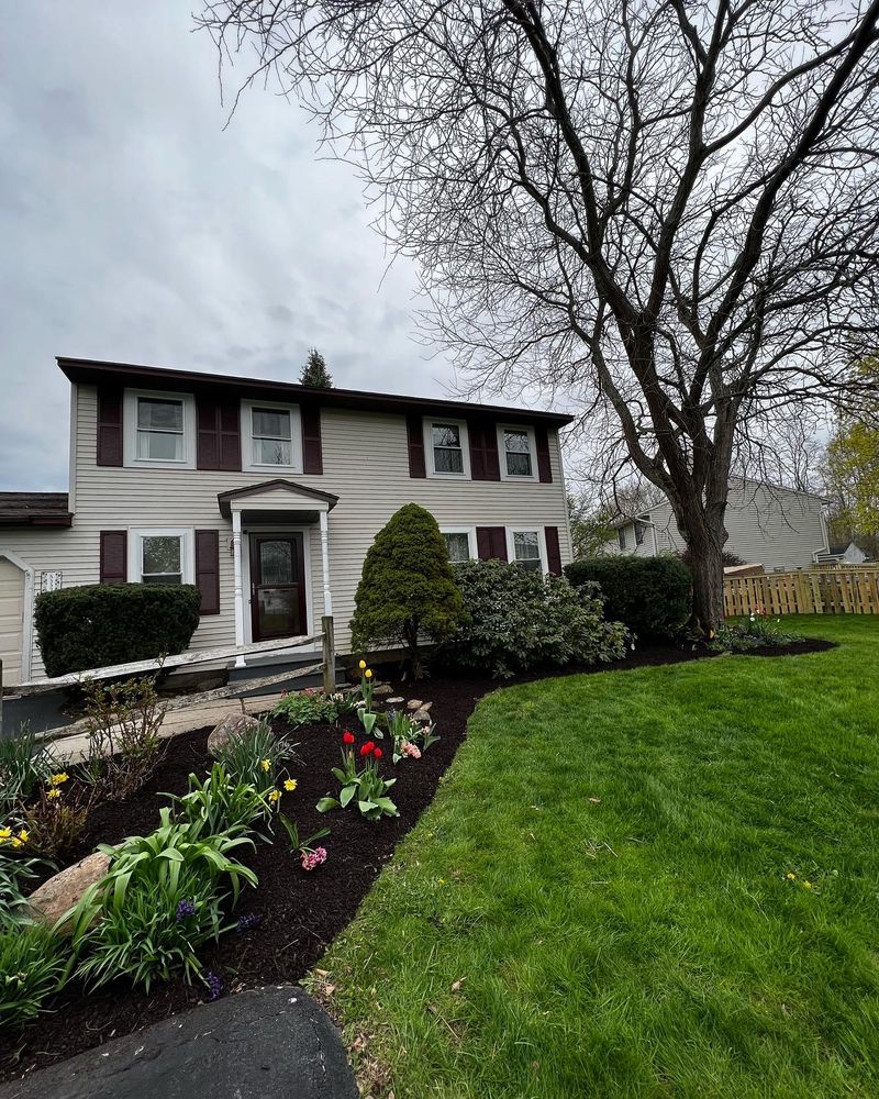 WHELAN PROPERTY SERVICES Updated September 2024 20 Photos Phoenix