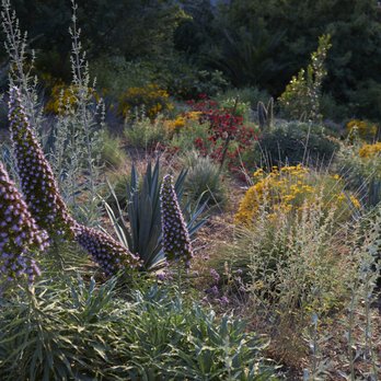 Nectar Landscape Design - Landscape Architects or Designers Near Me Nectar Landscape Design - Landscape Architects or Designers Near Me