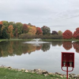 Pond Pond