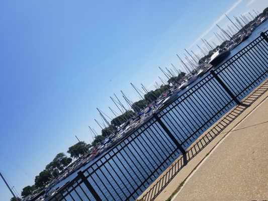 Belmont Harbor by null