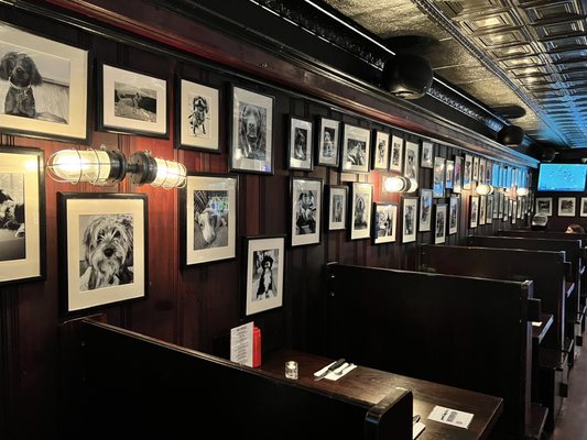 Good Dog Bar by null