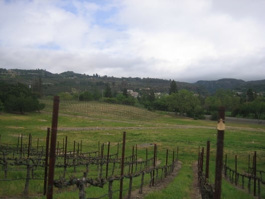 William Hill Estate Winery by null