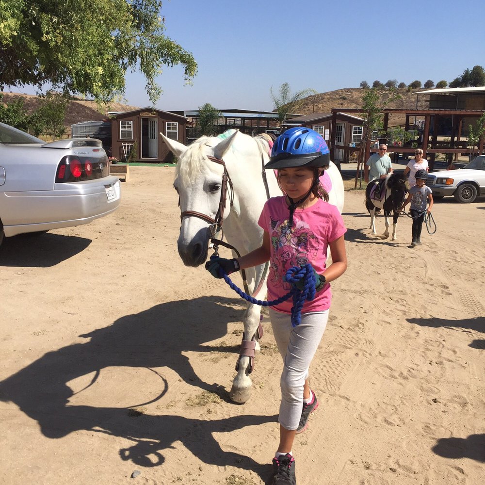 Breezeway Farms - Read to ride Fancy - Horseback Riding Near Me - Temecula, California