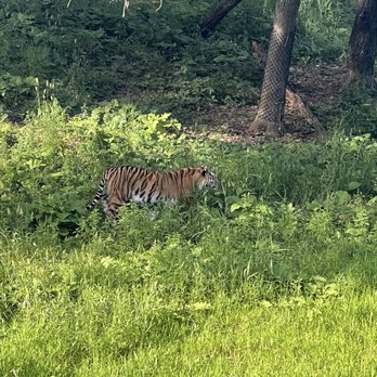 Minnesota Zoo - Zoos Near Me - Apple Valley, Minnesota Minnesota Zoo - Zoos Near Me - Apple Valley, Minnesota