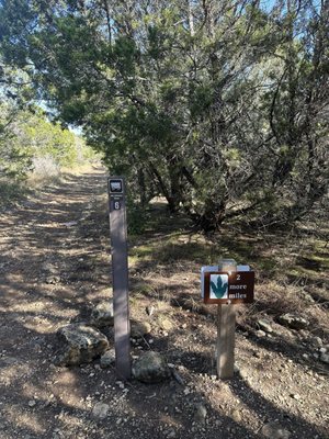 Government Canyon State Natural Area by null