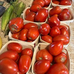 White Barn Farm - Tomatoes for canning pizza sauce! White Barn is the best!