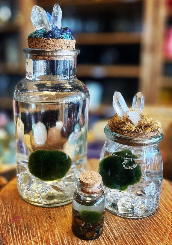 FLOWERS & EVENTS Updated May 2024 67 Photos 4101 E Park Blvd