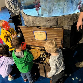 Living Shores Aquarium - Aquariums Near Me - Glen, New Hampshire