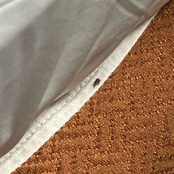 Royal Inn - Bed bug