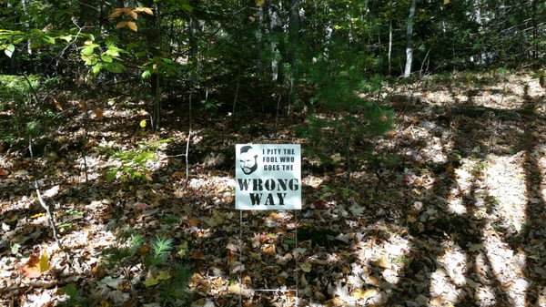 Bradbury Mountain State Park by null