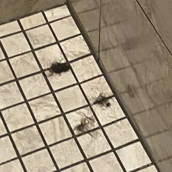 Planet Fitness - Imagine having to try and take a shower in here - Gyms Near Me - S Clermont, Florida Planet Fitness - Imagine having to try and take a shower in here - Gyms Near Me - S Clermont, Florida