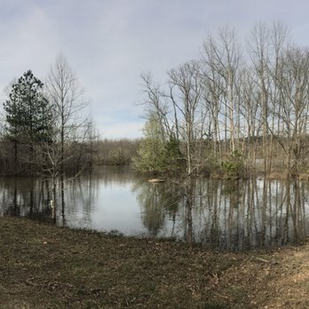 Allatoona Creek Park - March 2019 flooding: entire back of park - Hiking Near Me - Acworth, Georgia
