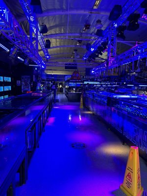 LAX Aquarium by null