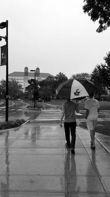 University of Kansas by null