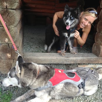 Team Dog USA - Pet Training Near Me Team Dog USA - Pet Training Near Me