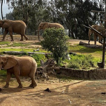 Elephant Valley - Zoos Near Me - Escondido, California