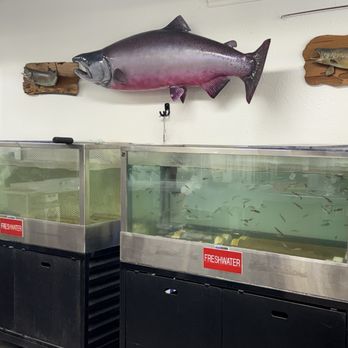Hangtown Bait & Tackle - Live bait - Hunting & Fishing Supplies Near Me - Placerville, California Hangtown Bait & Tackle - Live bait - Hunting & Fishing Supplies Near Me - Placerville, California