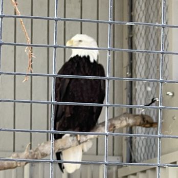 CALM Zoo - Zoos Near Me - Bakersfield, California
