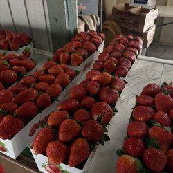 Hernandez Family Produce - Strawberries