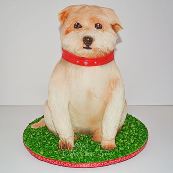 Frosted Cake Art - Sculpted Dog Cake - Bakeries Near Me - Chagrin Falls, Ohio Frosted Cake Art - Sculpted Dog Cake - Bakeries Near Me - Chagrin Falls, Ohio