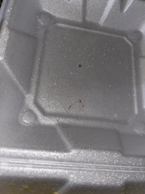 Mi Taco Village by null