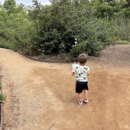 Doing a scavenger hunt while exploring the trail Doing a scavenger hunt while exploring the trail