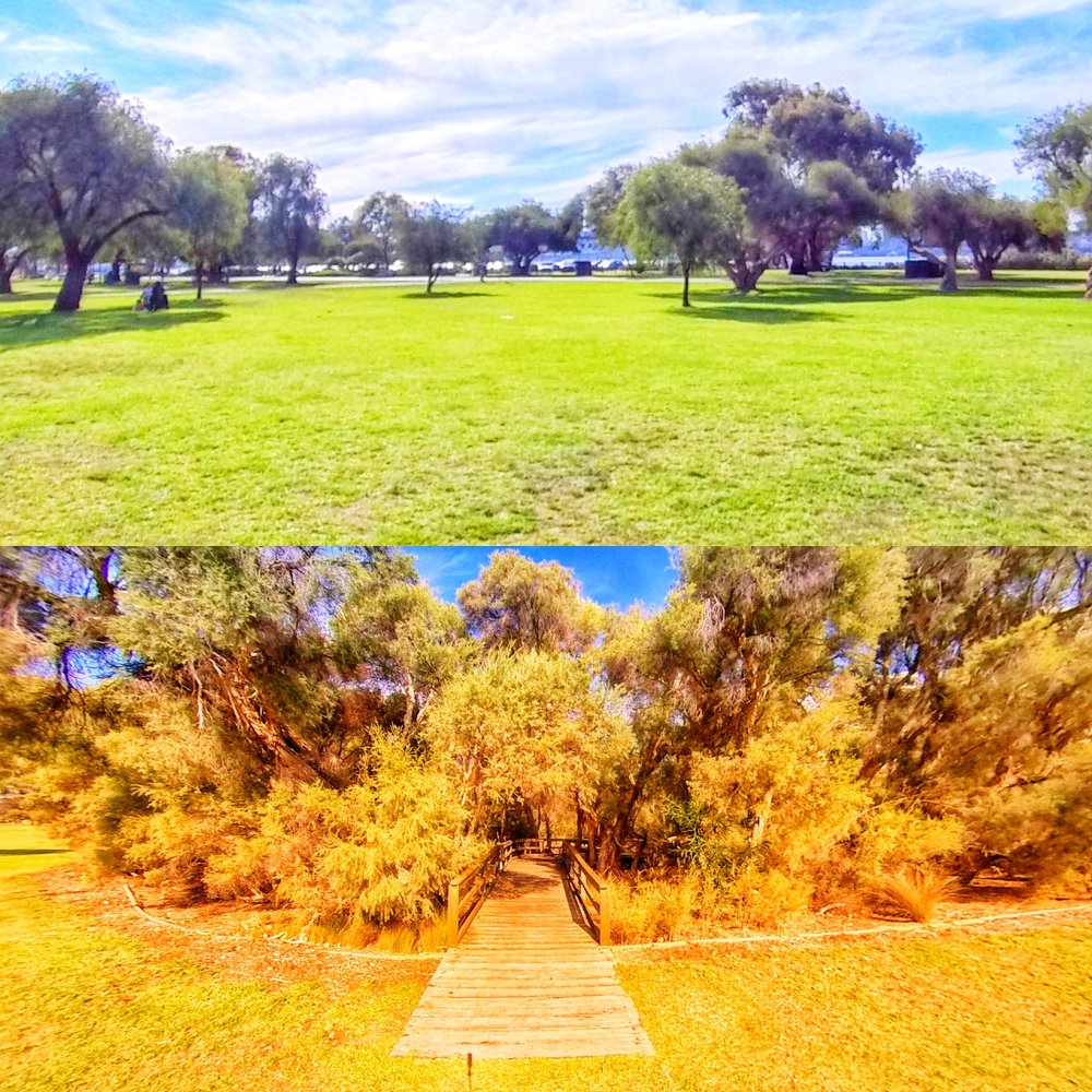 WETLANDS BOARDWALK SCENTED GARDENS Updated May 2024 S Perth