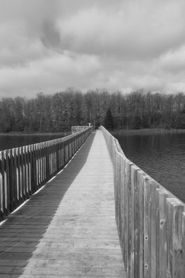 Island Lake Conservation Area by null