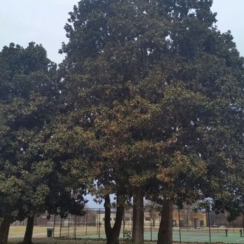 Watkins Park - Parks Near Me - Nashville, Tennessee