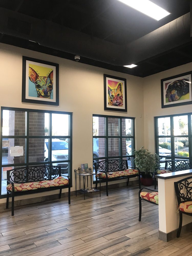 Jules Veterinary Center