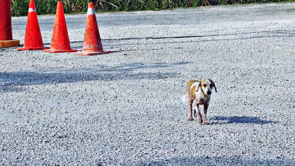 Zona arqueológica de Coba by null