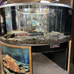 Tunnel aquarium
