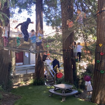 Chronos Academy - Climb a custom treenet in the shade of a redwood grove - Summer Camps Near Me - Larkspur, California