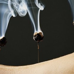 Red Raven Acupuncture - Known as mugwort or Aì yè in Chinese medicine, Moxabustion is a form of heat therapy that consists of burning the dried leaf